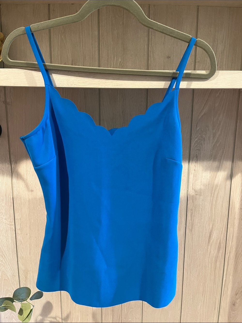 Ted Baker Scallop V-Neck Camisole